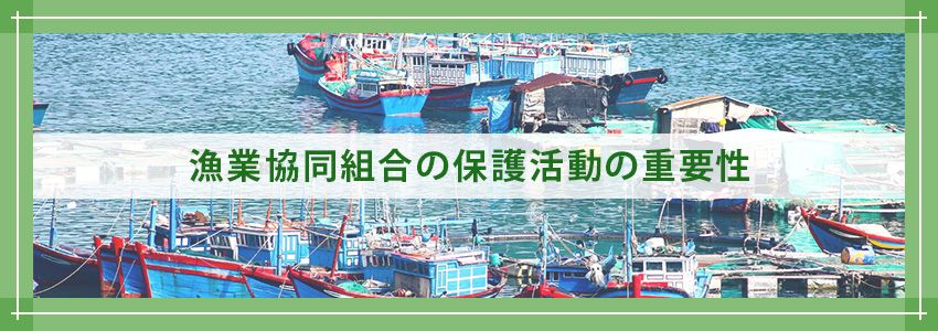 漁業協同組合の保護活動の重要性